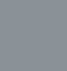 Avelene Vest Top - Solid Grey
