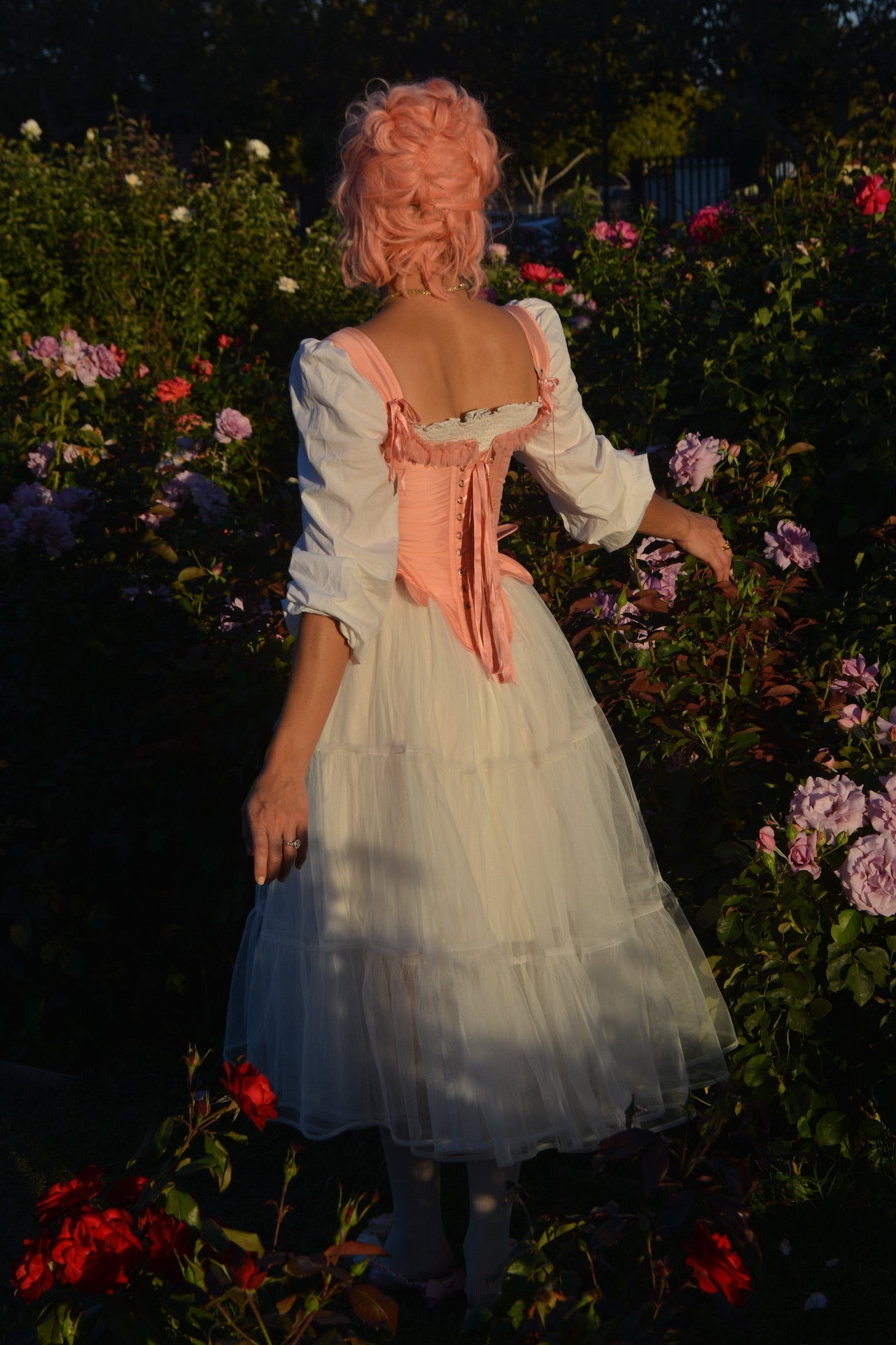 Fragonard Corset