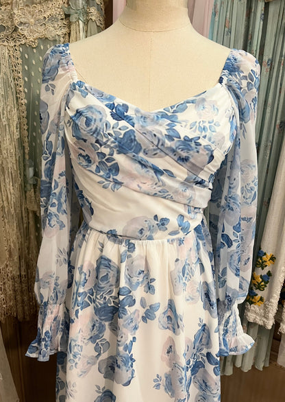 Blue roses dress