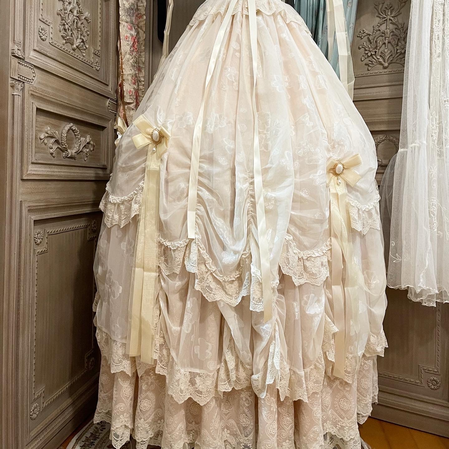 Princess diary gown