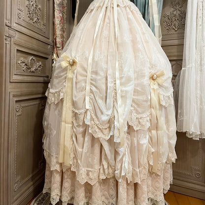 Princess diary gown