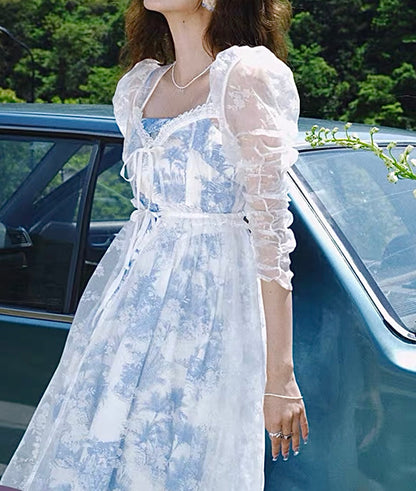 Pastoral toile dress duster and dress set