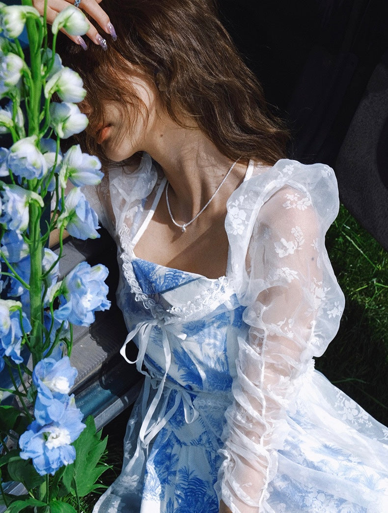 Pastoral toile dress duster and dress set