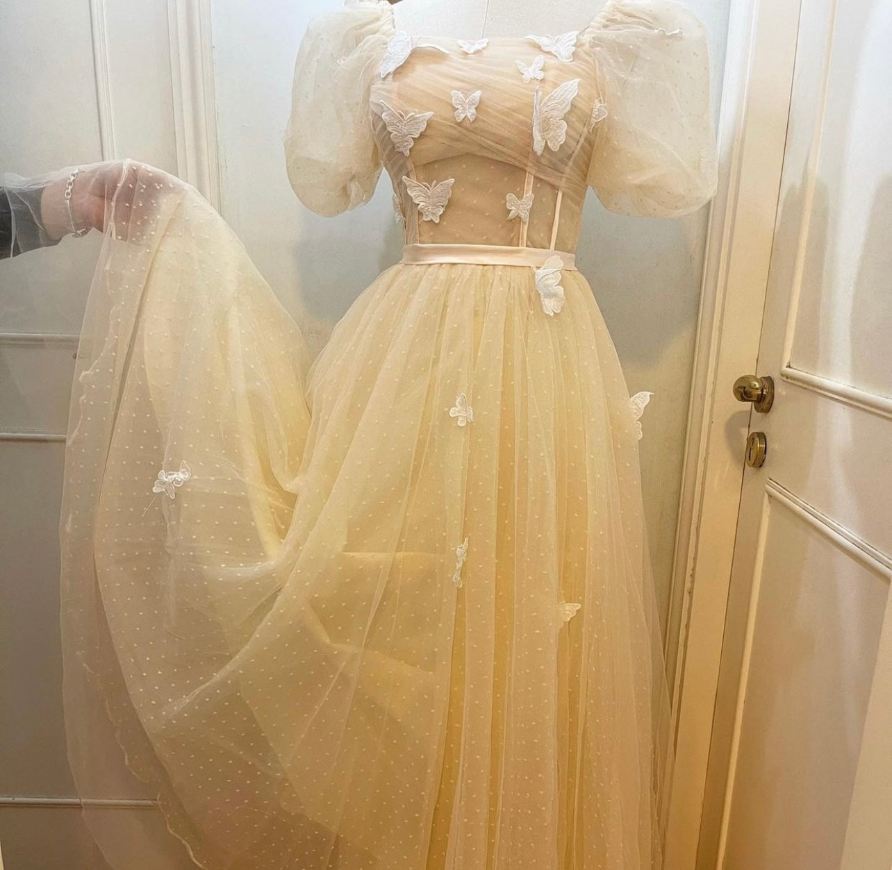 Butterfly fairy dress