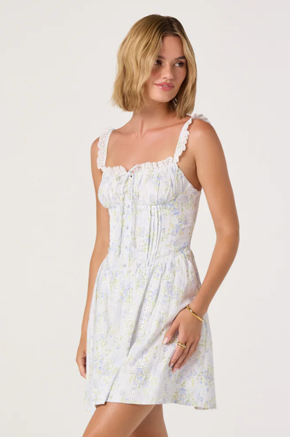 Charlotte Mini Dress