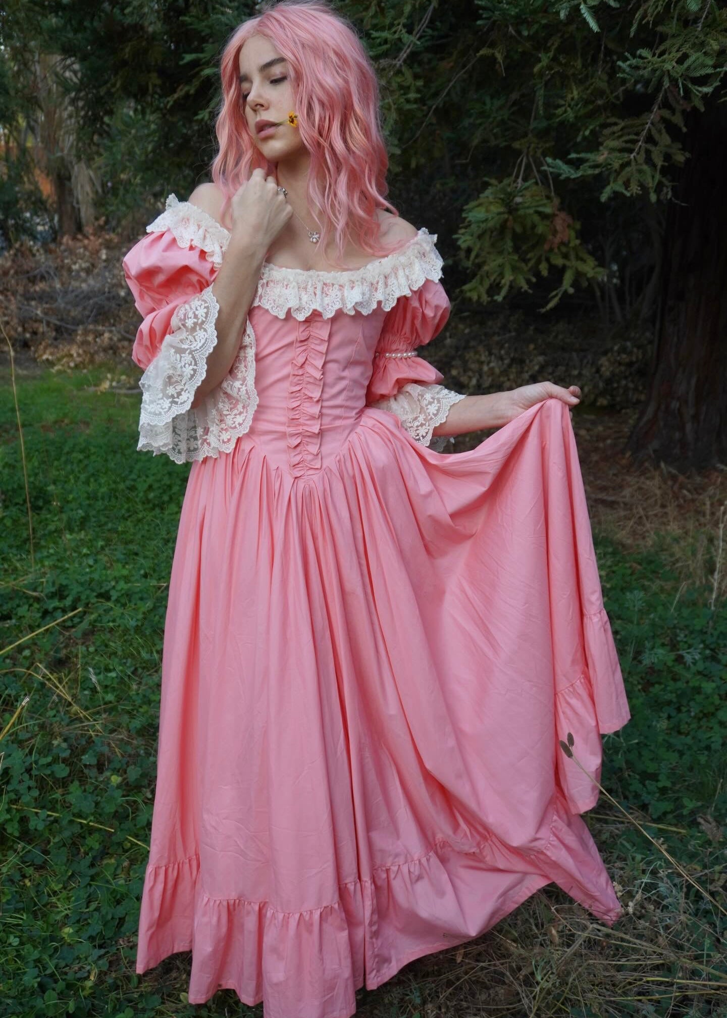 Comtesse du Barry Gown
