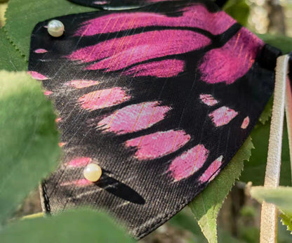 Butterfly garden collar