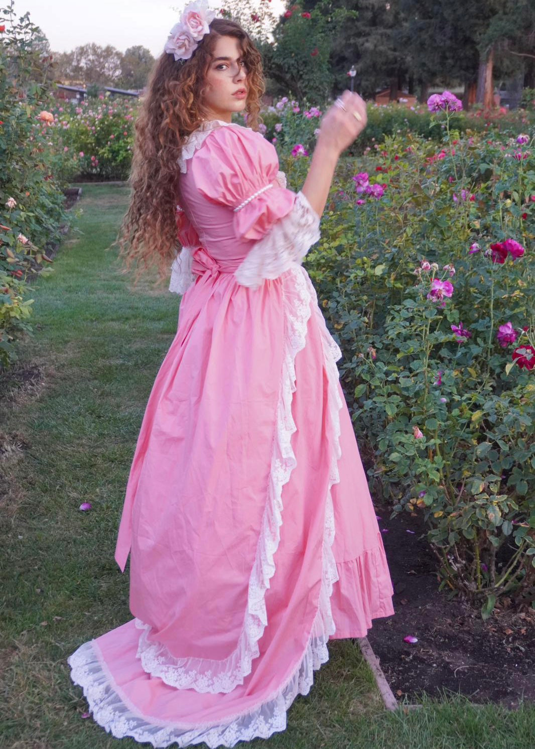 Comtesse du Barry Gown