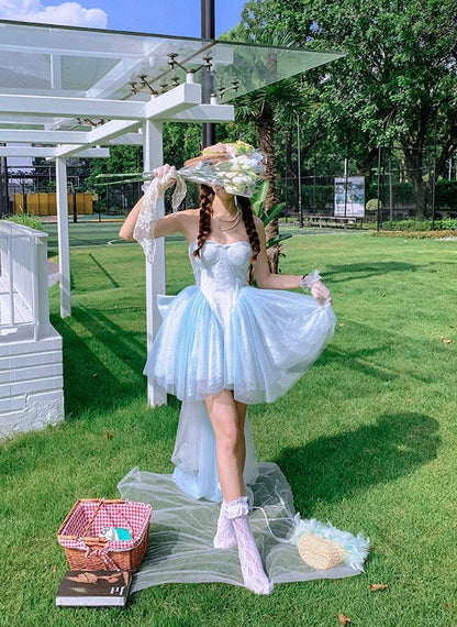 Cinderella pannier dress