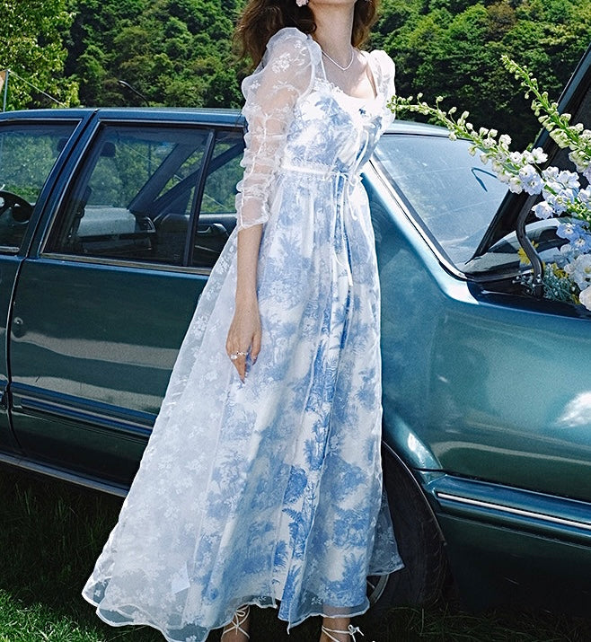 Pastoral toile dress duster and dress set