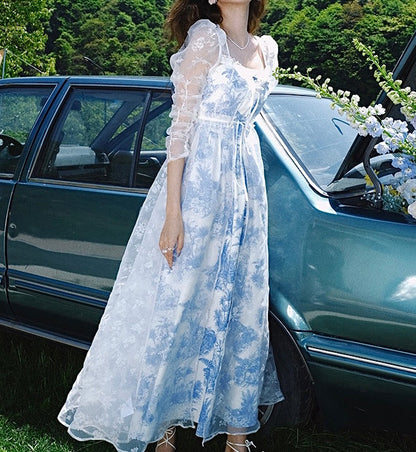 Pastoral toile dress duster and dress set