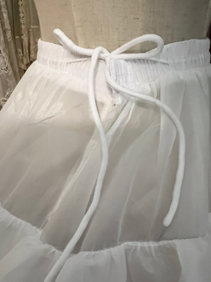 Panniers and Petticoat