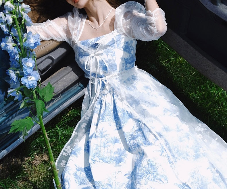 Pastoral toile dress duster and dress set