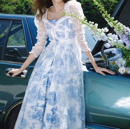 Pastoral toile dress duster and dress set