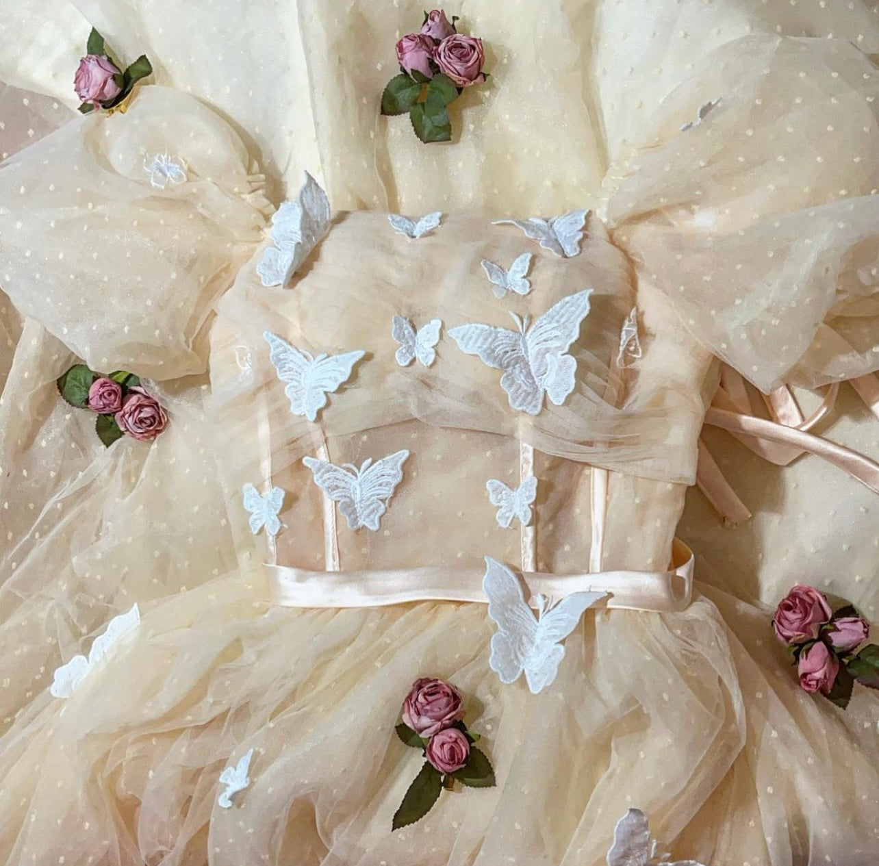 Butterfly fairy dress