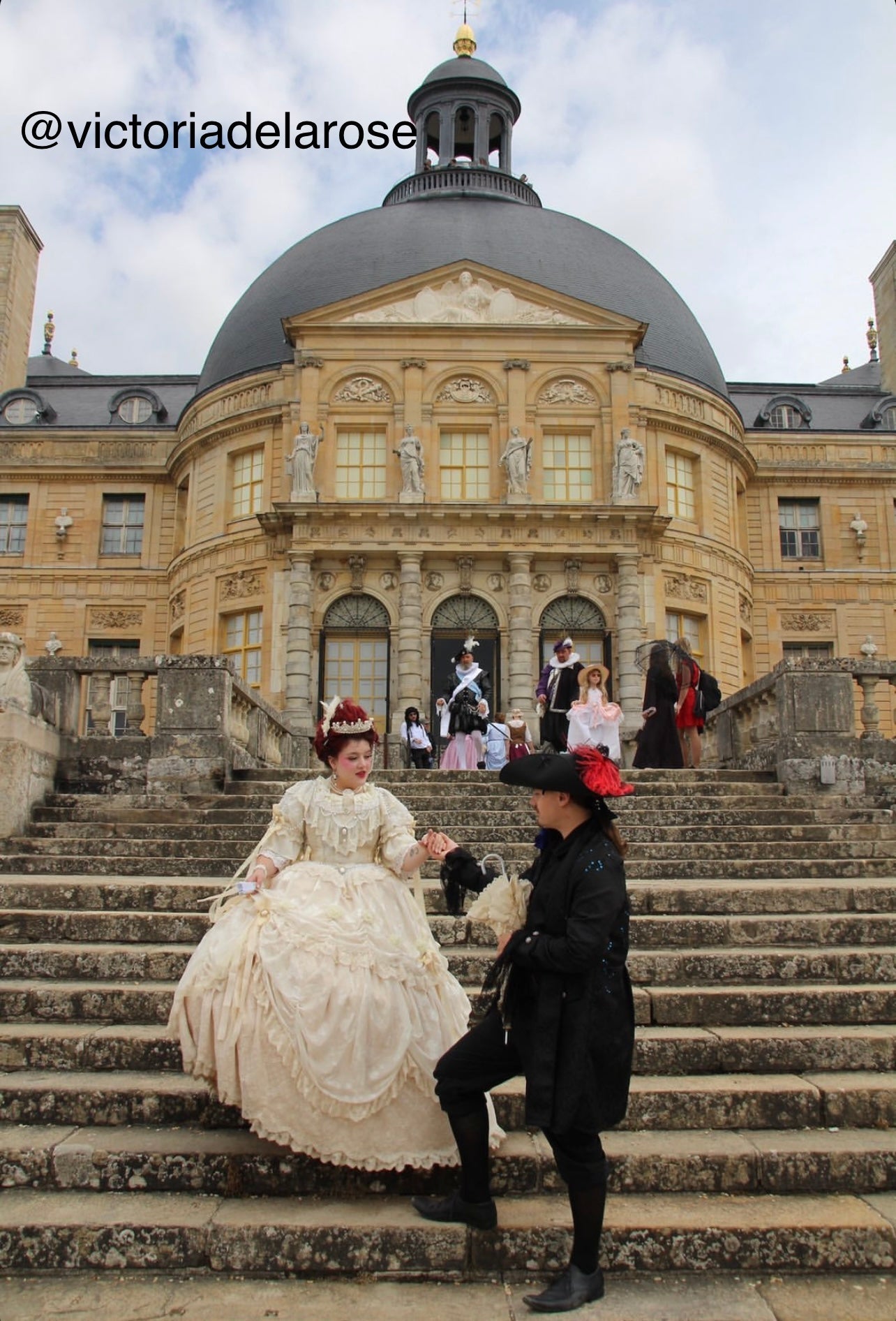 Princess diary gown