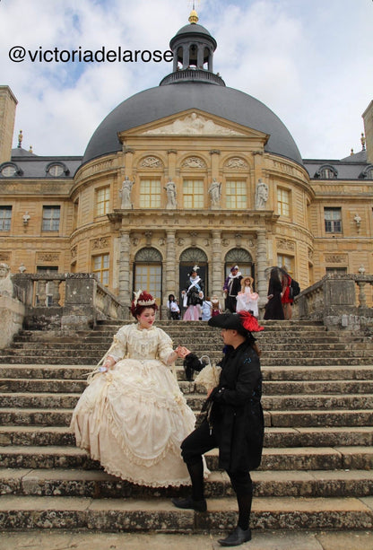 Princess diary gown