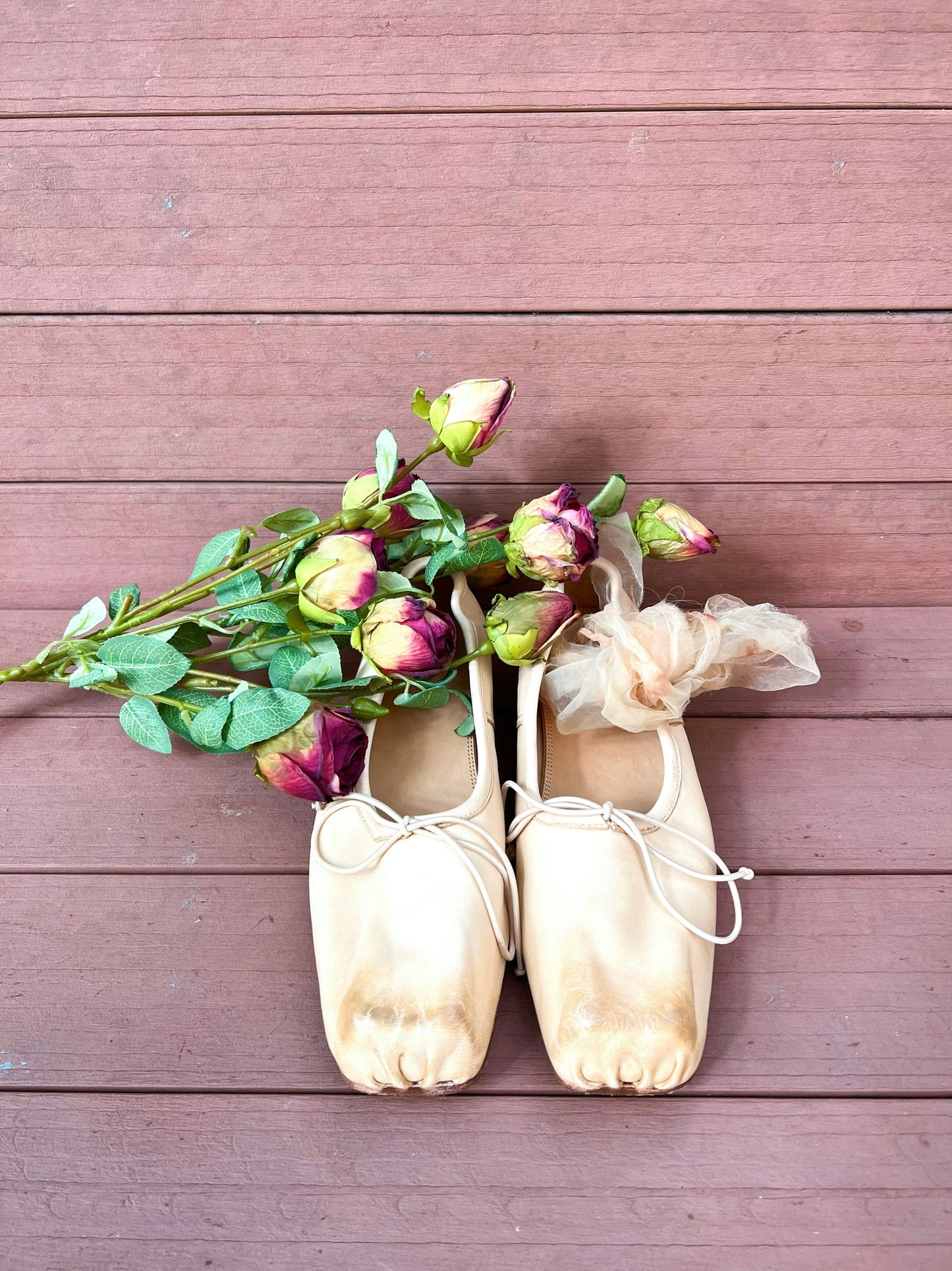Tattered Love Ballet Shoes