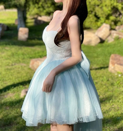 Cinderella pannier dress