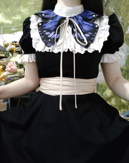Butterfly garden collar