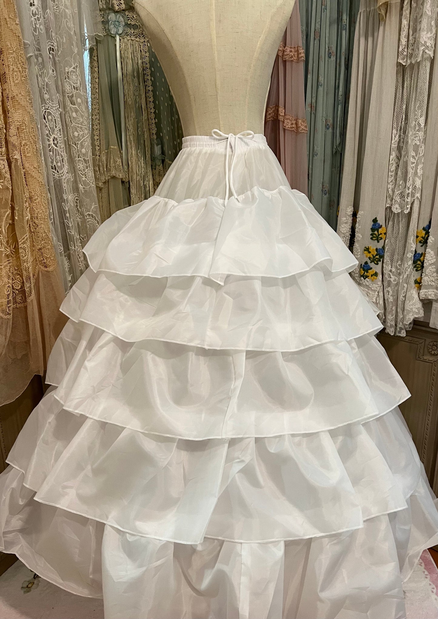 Panniers and Petticoat