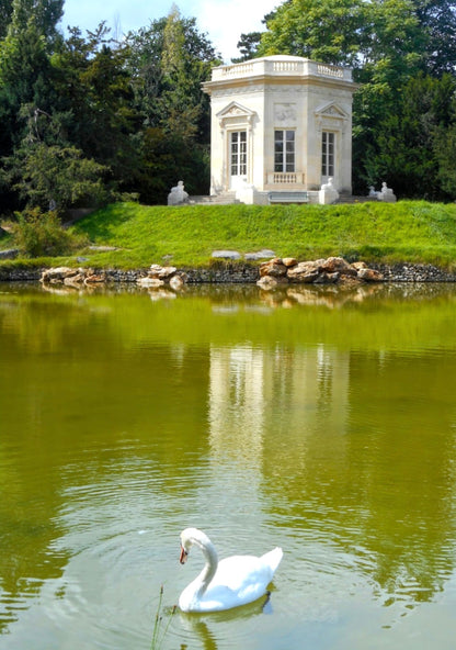 Le Petit Trianon Dress
