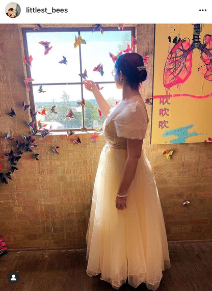 Butterfly fairy dress