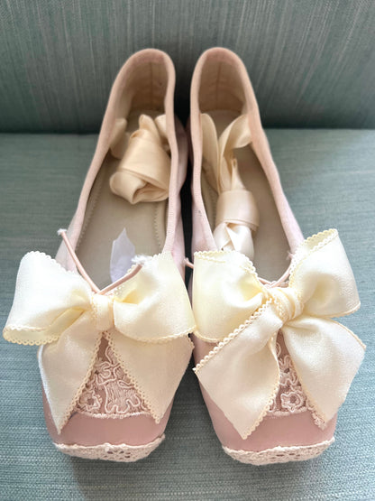 Shabby ballet shoes