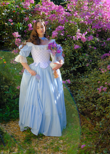 Rococo Cinderella Dress 💎