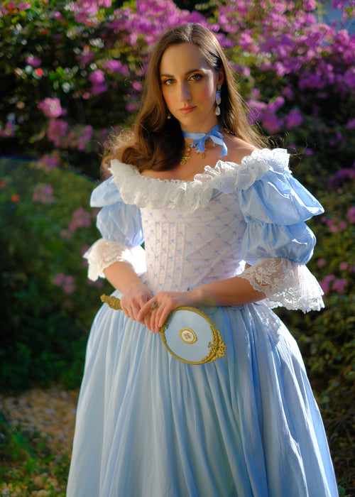 Rococo Cinderella Dress 💎