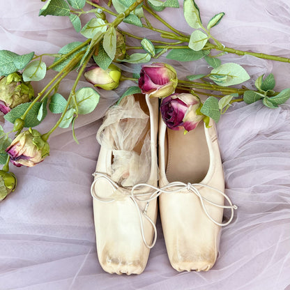 Tattered Love Ballet Shoes