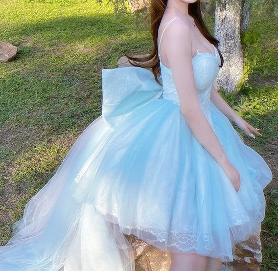 Cinderella pannier dress