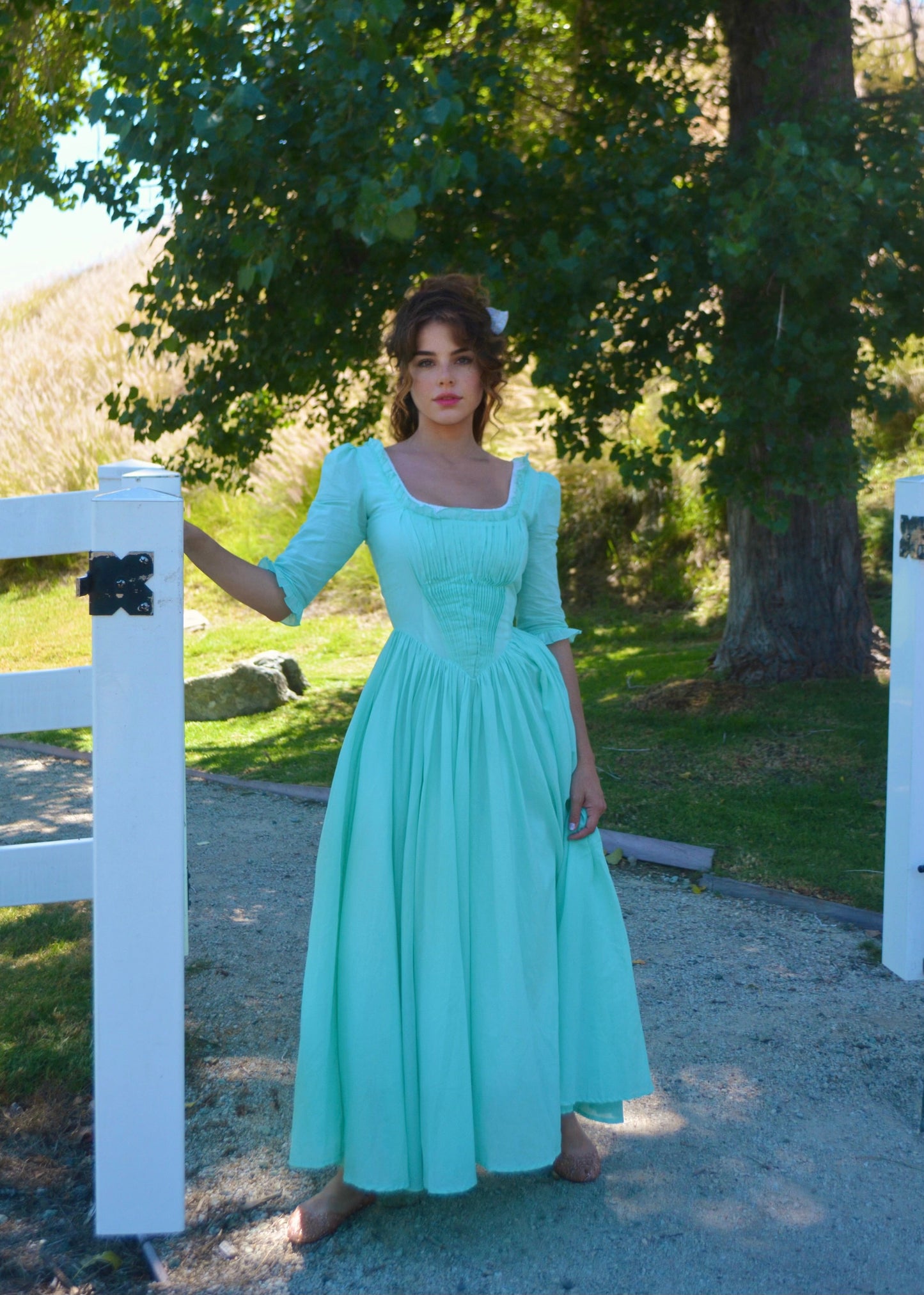 Cinderella dress