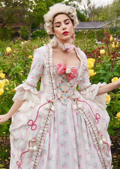 Fête Galantes Gown 🎀