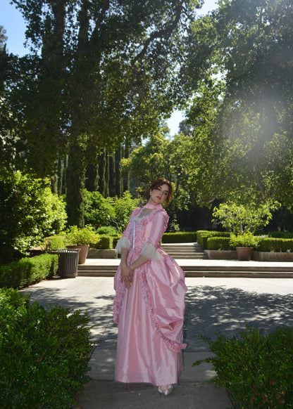 Antoinette à la mode gown