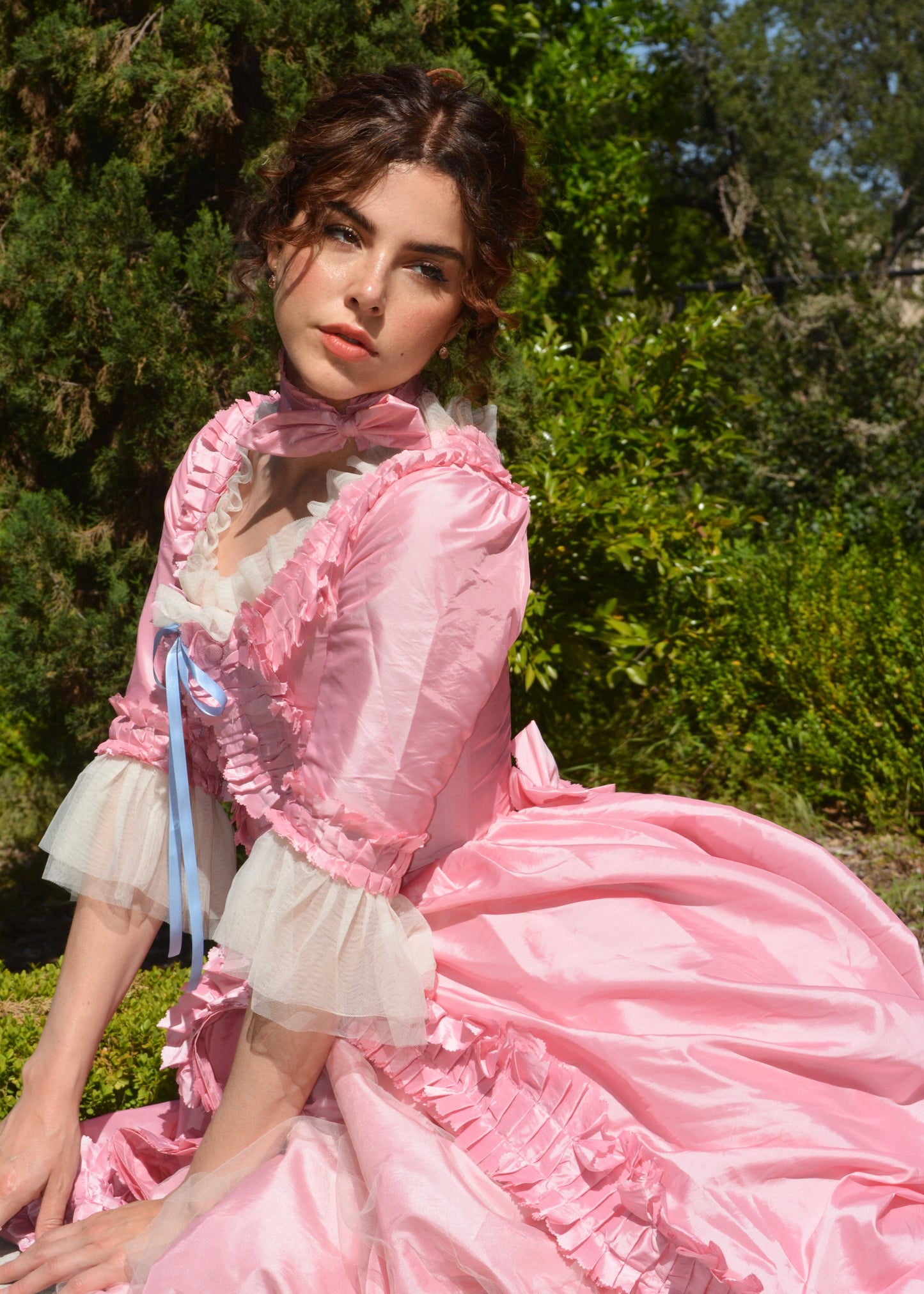 Antoinette à la mode gown
