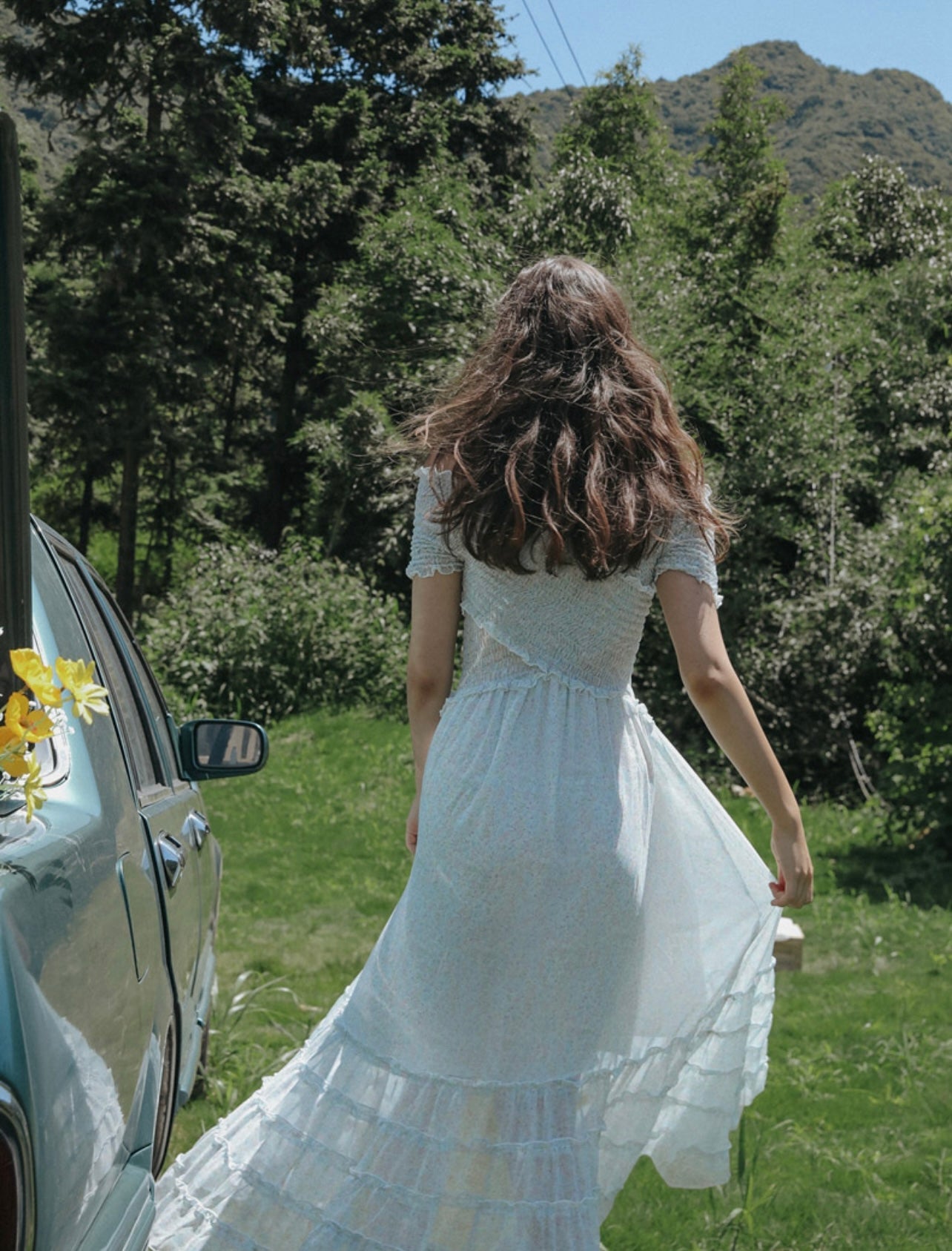 Bluebird Dress