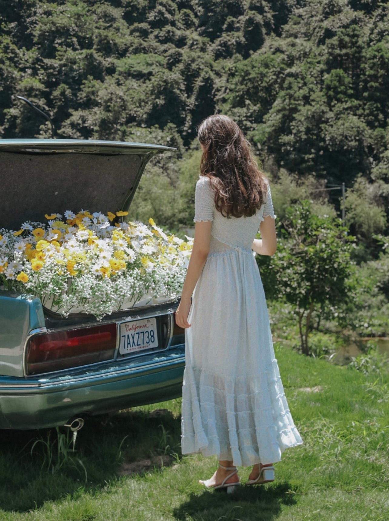 Bluebird Dress