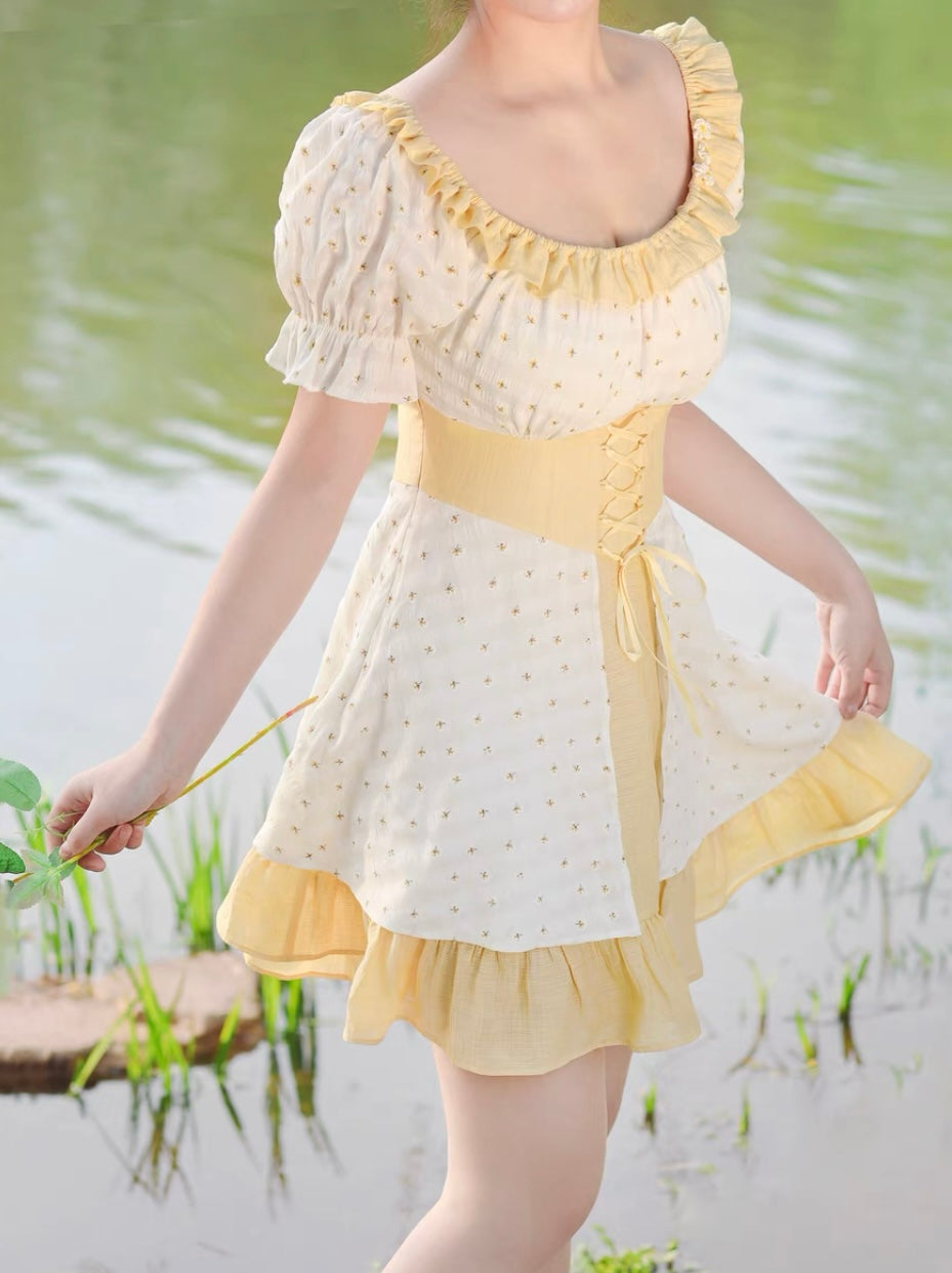 Lawn Party dress (Long / Short versions)
