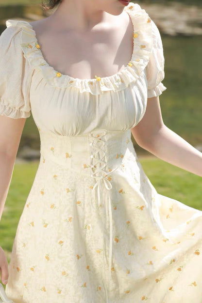 Lawn Party dress (Long / Short versions)