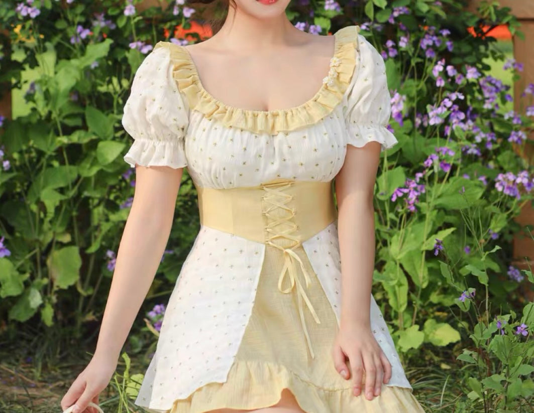 Lawn Party dress (Long / Short versions)