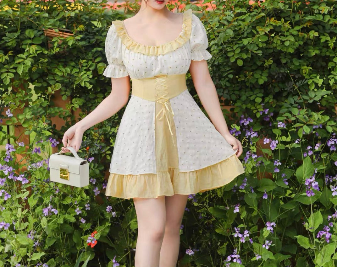 Lawn Party dress (Long / Short versions)