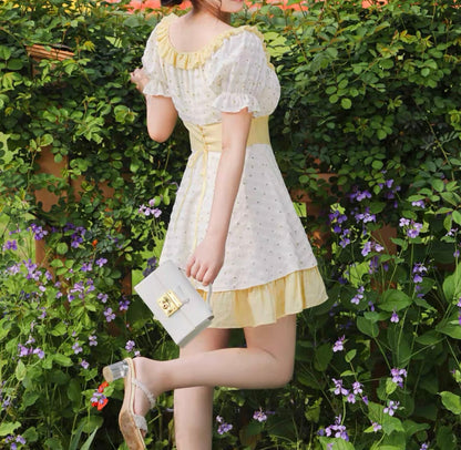 Lawn Party dress (Long / Short versions)