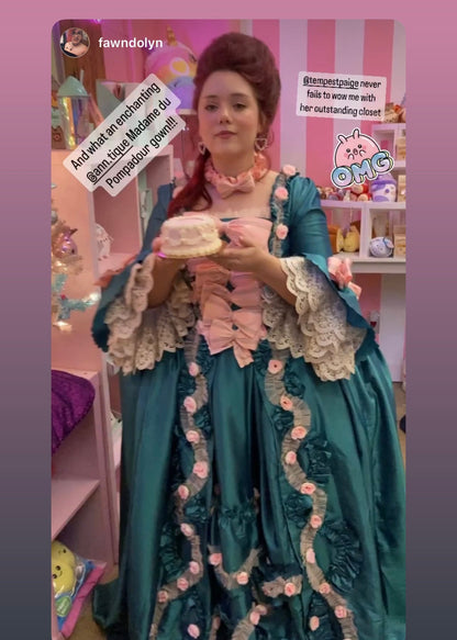 Madame de Pompadour gown