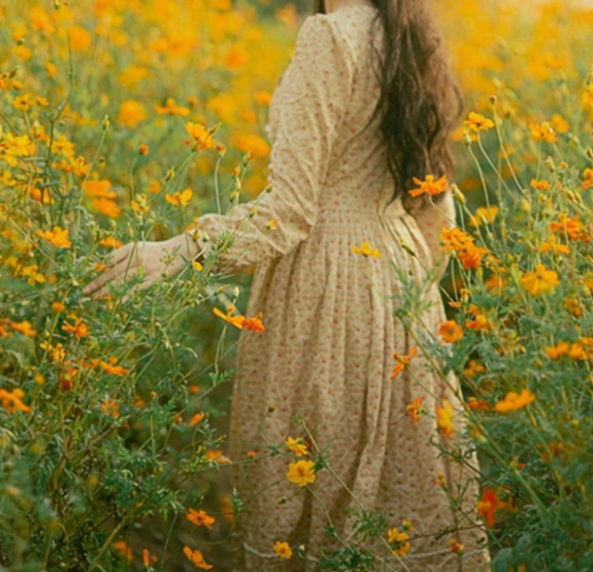 Morwenna dress