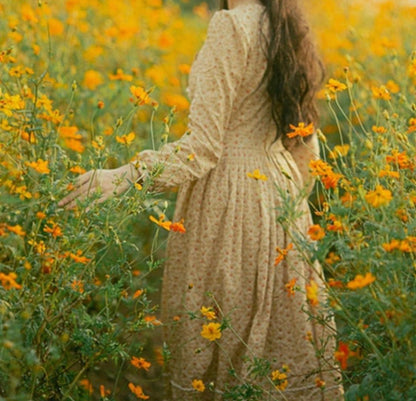 Morwenna dress