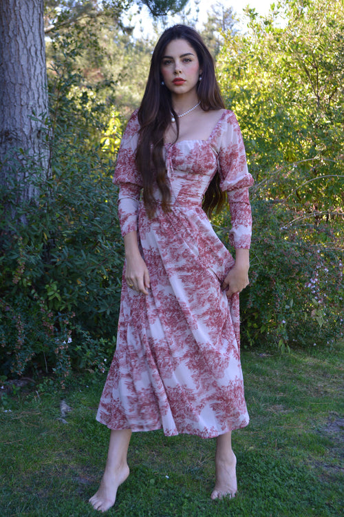 Autumn toile dress
