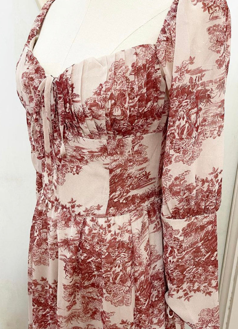 Autumn toile dress