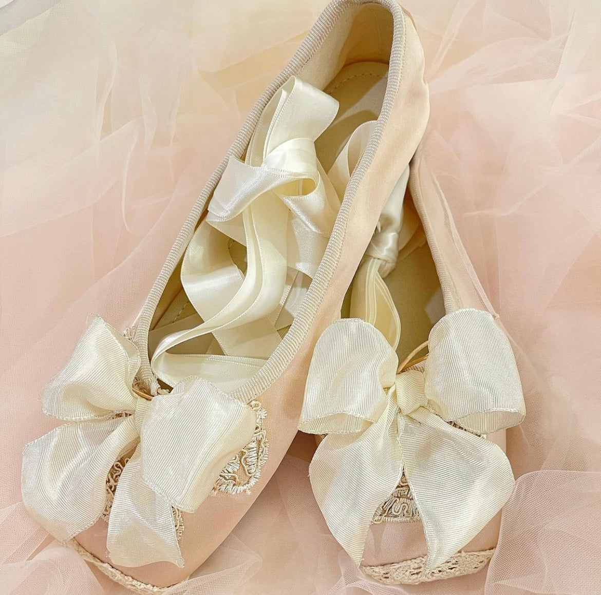 Shabby ballet shoes