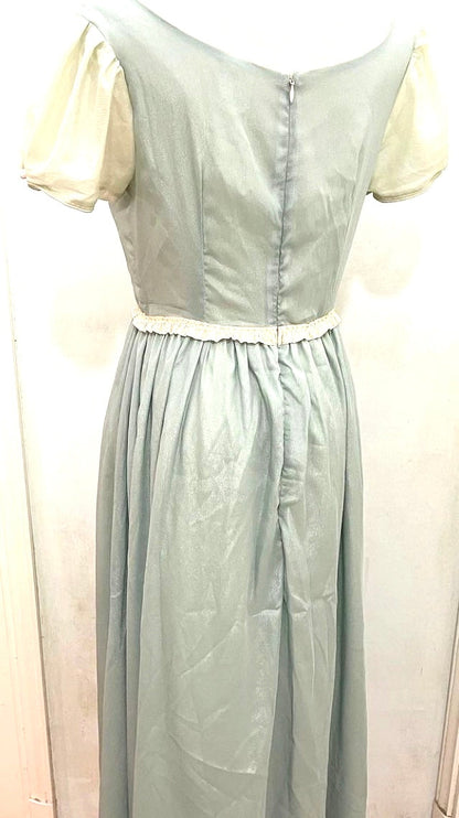 princess and the frog dress